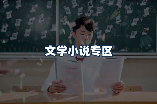 文学小说PDF展示